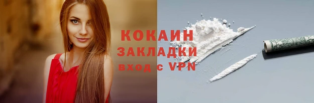 спайс Богданович