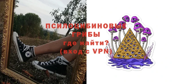 PSILOCYBIN Бронницы