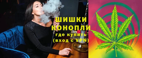 PSILOCYBIN Бронницы
